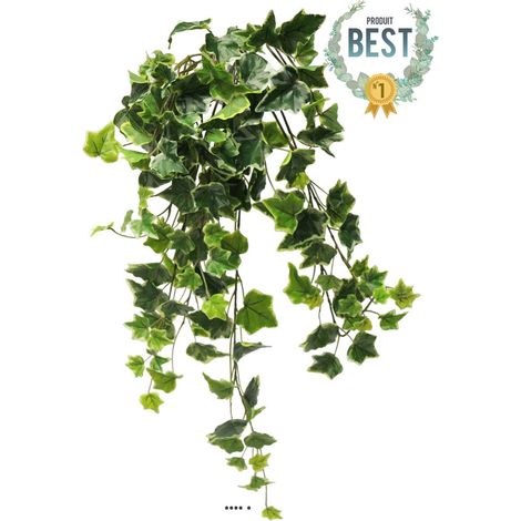 Lierre artificiel en chute, 7 ramures, L 70 cm Panaché - BEST - couleur: Blanc-vert (1/4)