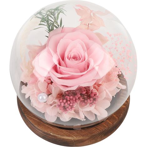 Rose Éternelle Sous Verre Socle Bois Cadeau Anniversaire Saint-Valentin (1/4)