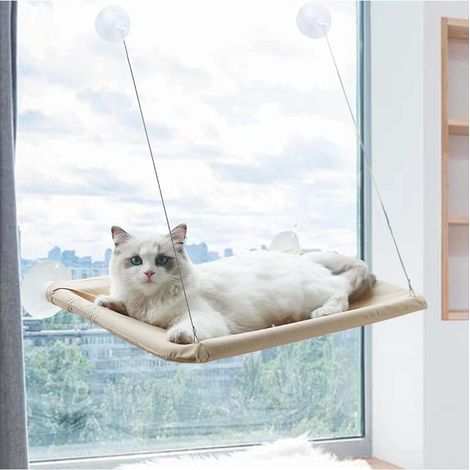 Lit de fenêtre pour chat d'intérieur - Hamac pour chat avec ventouses puissantes (1/5)