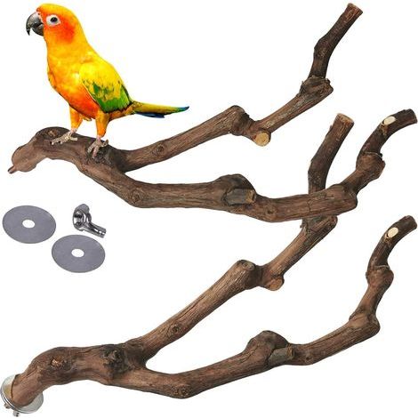 Parrot Perch Bird Stand Pole Wild Grape Stick Paw Grinding Fork Parakeet Climbing Standing Branches Toy Chewable Cage Accessories for Small Budgies Cockatiels Lovebirds 2PCS (1/5)