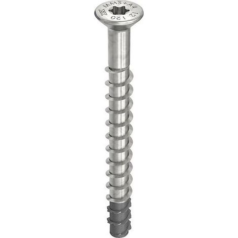 Vite di ancoraggio multi-Monti-plus F 10x65/5 A4 (per 50)