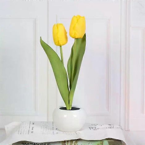 Lampe de table effet tulipe, décoration d'hôtel tendance 2023, veilleuse LED pour chevet, salon, jardin. (1/5)