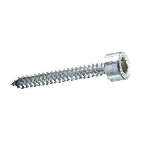 VITE AUTOFILETTANTE TCCE AMBROVIT - ZINCATA BIANCA MM 4,8X22 CF=PZ 500- 1 confezioni