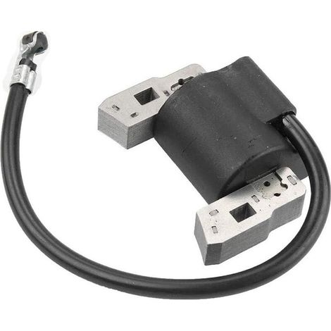 Pièces Briggs & Struts 397358 697037 395490 298316 395491 Kit bobine d'allumage haute tension (1/4)