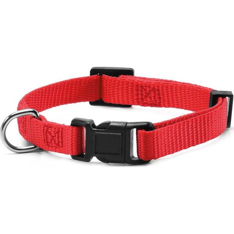 F - 1 x 20-30 cm collare: (1/5)
