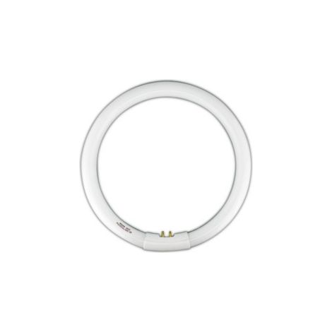 T9 Kreisförmige Leuchtstoffröhre T9 22W Licht 6500K