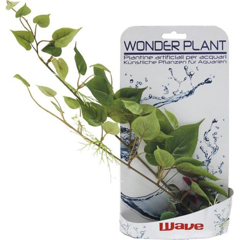 Set 6 pezzi Wonder Plant Series D 25-40 cm forme assortite