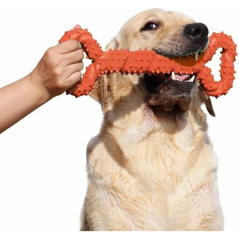 Jouet pour chien durable 32 cm Jouet à mâcher en forme d'os en ébène avec design convexe pour un nettoyage des dents et un massage des gencives robustes et interactifs (1/5)