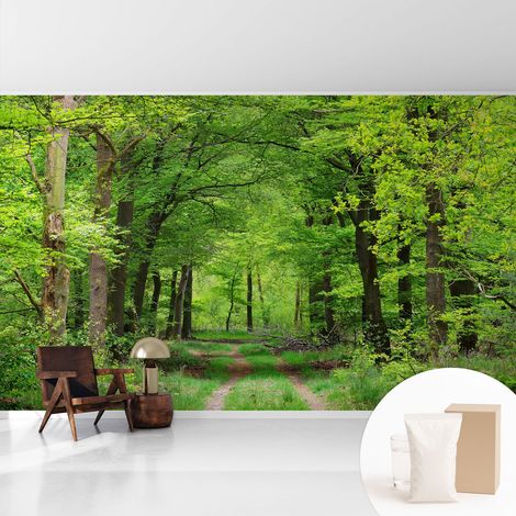 Tapete Vliestapete mit Kleber - abwaschbar - Tapete mit Motiv - trendige Wanddeko - elegant Fototapete Waldweg 416x254 cm (1/5)