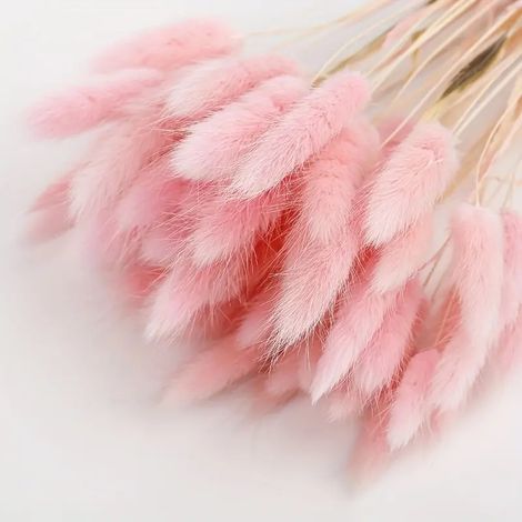 Un ramo de 60 flores secas de pampa rosa: una decoración natural de estilo bohemio, perfecta para bodas y cumpleaños. (1/4)