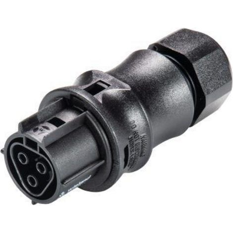 Wieland Electric 96.031.0053.1 Rundstecker Buchse, gerade Gesamtpolzahl: 3   1 St.