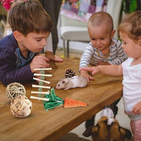 Chew Toys for Rabbit, Hamster, Chinchilla, Guinea Pig, Gerbil (1/4)