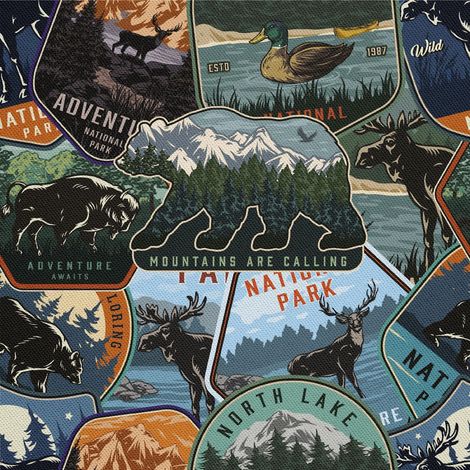 Telas decorativas para exteriores oxford - Motiv Adventure I DX679 (1/5)