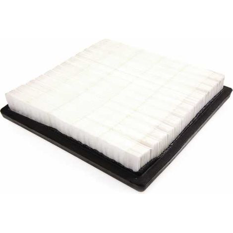 Filtre à air pour moteur Tecumseh 37360