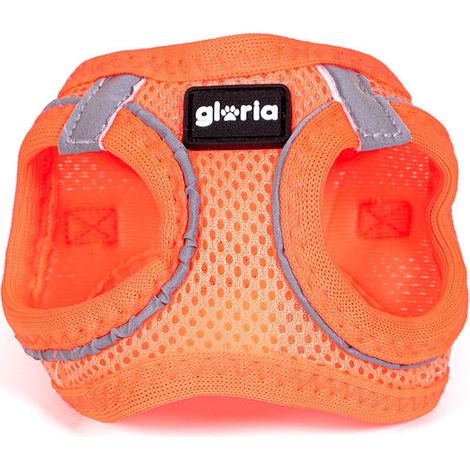 Imbracatura per Cani Gloria Trek Star 24-26 cm 28-28,6 cm Arancio XXS (1/5)
