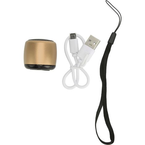Enceinte Bluetooth Mini avec Subwoofer Puissant, Rechargeable USB, Portable Métallique pour Téléphone, Tablette, PC, Dorée (1/5)