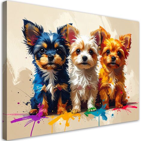 Bilder Drei bunte Hunde Tiere 45x30 (1/5)
