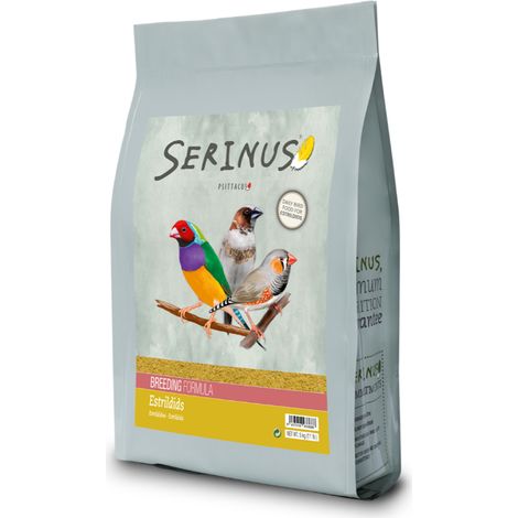 Serinus Estrildids che riproduce 5 kg