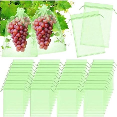 Sacs de protection - Pack de 100 - 40 x 30 cm - Organza - Protection des raisins (1/4)
