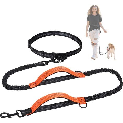 Laisse de Jogging pour Chien de Taille Moyenne et Grande, Élastique et Réfléchissante, Laisse Rétractable avec Double Poignée et Ceinture de Taille (1/5)