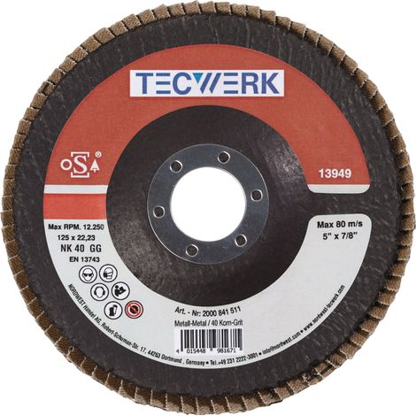 Nom : Disque à lamelles D.125mm K.80 acier/bois conique NK TECWERK (1/2)