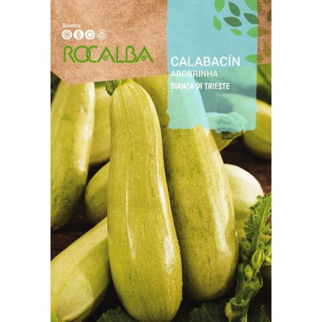 Rokalba -Samen Zucchini Bianca di Triest 100g