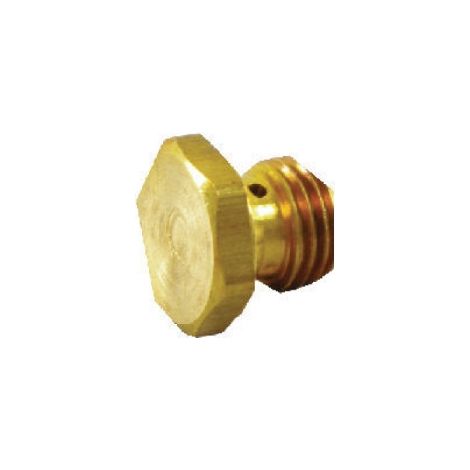 ORIGINAL BRIGGS & STRATTON Motor Vergaserdüse 494870