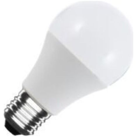 Ampoule LED E27 A60 12/24V AC/DC 12W No Flicker Blanc Neutre 6500K (1/2)