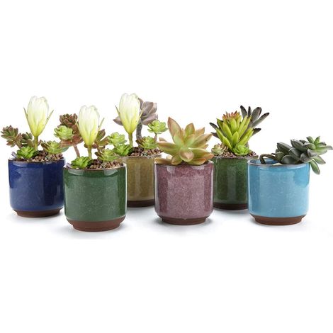 Morceaux Pots de Plantes en Céramique, Mini Pot de Fleurs, Cactus Fleurs Récipient Jardinière, pour Planter des Plantes Succulentes, des Cactus (1/5)