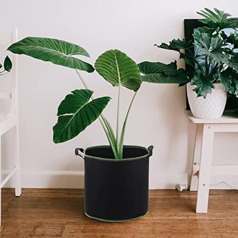 Lot de 5 Sacs de Culture en Tissu Non tissé avec poignées, Sacs de Culture pour Plantes et légumes de Jardin de 12 litres (1/5)