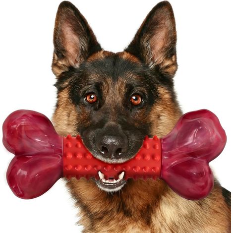 Os à mâcher robuste pour chiens, 20,3 cm, en nylon et caoutchouc, convient aux chiens de taille moyenne à grande. (1/2)