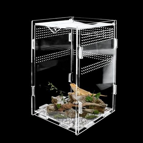 Terrarium Reptile Insecte 12 x 12 x 20 cm en Acrylique pour et Insectes (1/5)