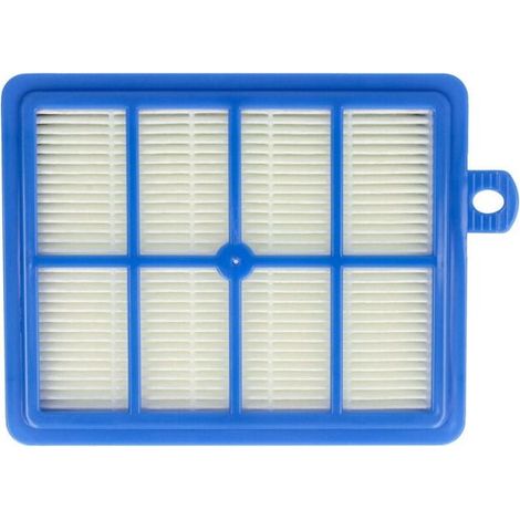 Filtre Hepa allergie de rechange pour aspirateur Electrolux Ergospace, Excellio, Twinclean, UltraOne, S-Bag commeAEF13W, AEF 13 W, H13. (1/4)