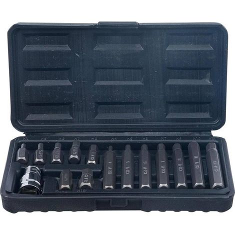 Jeu d Embouts 10 mm (3/8) - Six Pans Intérieurs, 15 pcs - Précision et Polyvalence, Pro - D-Work