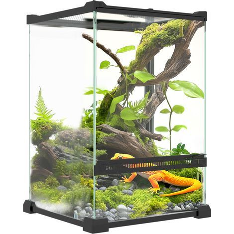 Terrarium en verre 12L pour reptiles – Couvercle en maille métallique – Aération optimale – Compatible tapis chauffant (1/5)