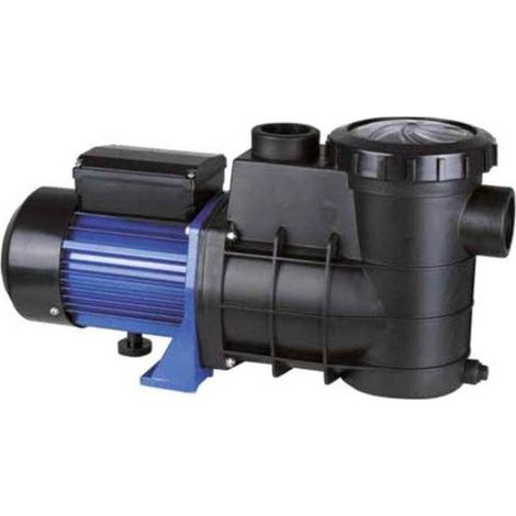 Pompe Eau PPE 0,16 CV Monophasé 5 m3/h - Entrée de Gamme - Fiable et Performante - D-Work (1/2)