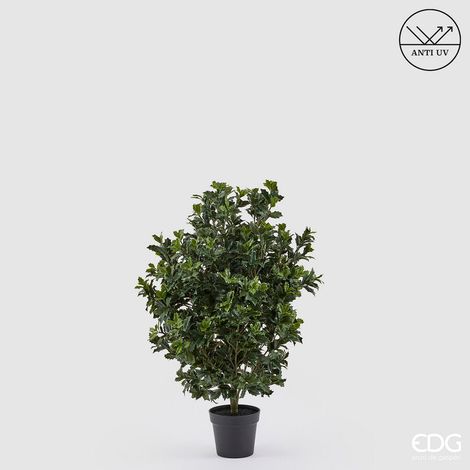 EDG Enzo De Gasperi Pianta Artificiale Agrifoglio H 121 Cm con Vaso – Anti UV Verde per Interno ed Esterno (1/5)