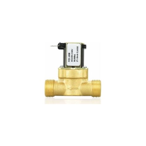 Électrovanne magnétique en laiton 220 V normalement fermée, 1/2" AC 220 V/°F pour la commande d'eau (1/5)