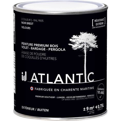 Peinture bois extérieurs - RAL 9005 Noir Brest - 750ML - ATLANTIC (1/3)