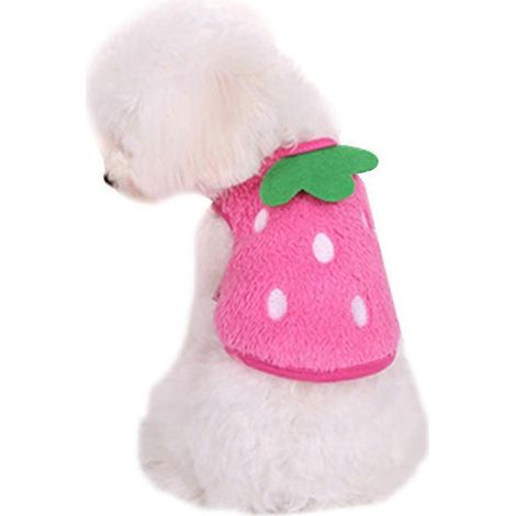 Chaleco cómodo para cachorros y bebés. (1/5)