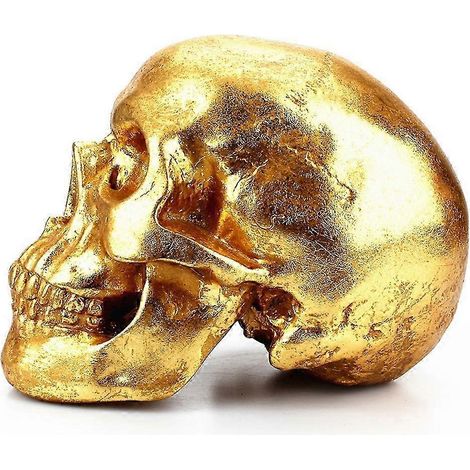 Accessoires Crâne Tirelire Crâne Doré Décoration Crâne Mignon Décoration Halloween Rangement d'argent Décoration intérieure Doré 1 pièce (1/4)