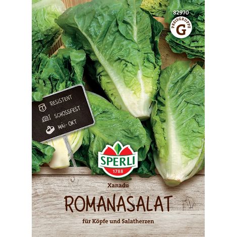 Sperli Romanasalat Xanadu - Gemüsesamen (1/2)