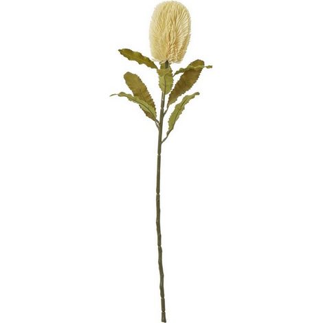 Large Banksia Serrata (Single Stem Flower) - Plastic - Height 65 cm - Cream