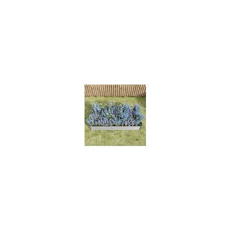 Potager surélevé en métal, fabriqué en tôle d'acier robuste, stable et résistant à la rouille. Kit sans fond, idéal pour les légumes, les herbes aromatiques et les fleurs. Anthra (1/5)