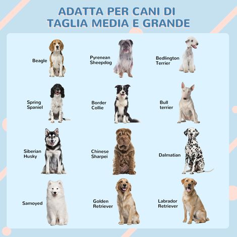 Caisse imperméable pour chien moyen et grand jusqu'à 30 kg, 84,2 x 98,2 x 82 cm, bleu, en PP résistant (1/5)