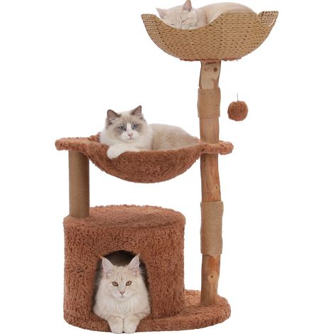 Arbre à chat, construction en bois massif, panier en osier spacieux, AMT0285BN, L-a (1/2)
