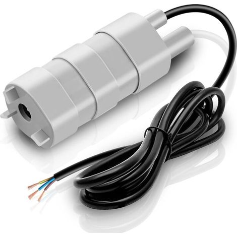 1 Pompe Immergée 12V, Débit 840L/H, Pour Camping-car, Bassin, Jardin (1/5)
