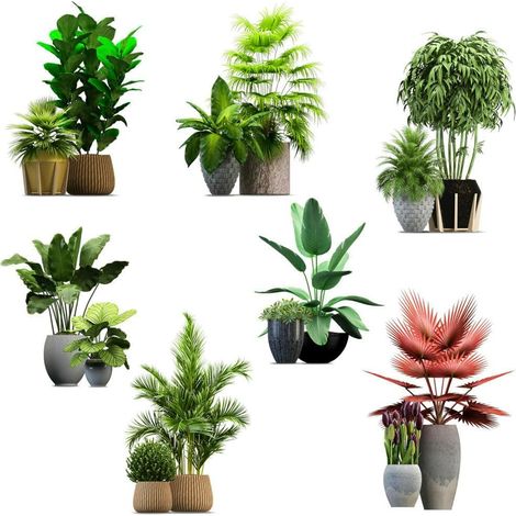 Stickers Muraux Autocollants Muraux Imperméables En Pot De Fleurs, Plantes Vertes Tropicales, Décoration De Salon Et De Chambre À Coucher (1/5)