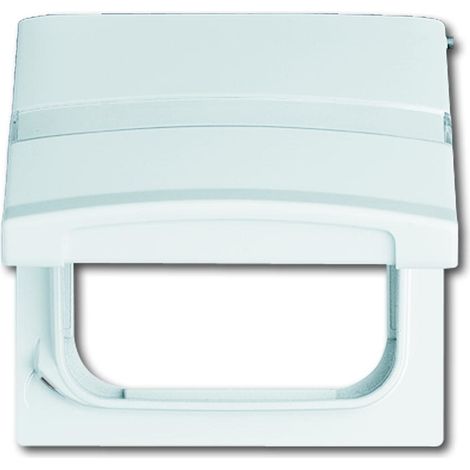 Plaque de finition Busch-jaeger 2118 gkn-34 ip44 blanche