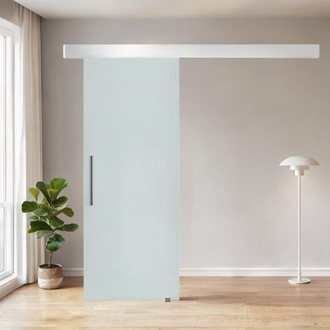 Porte coulissante en verre translucide 90 x 205 cm aluminium (1/5)